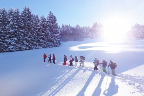 halbtagestour-schneeschuhwandern halbtagestour-schneeschuhwandern