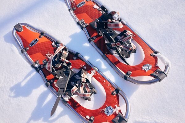 snowshoe-1983134_1920 snowshoe-1983134_1920